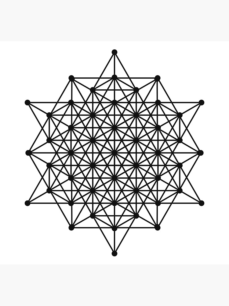 大勧め 64 Geometry Sacred Tetrahedron Black Grid イラスト