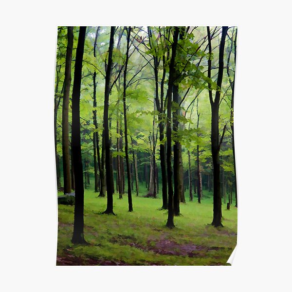 Into the Trees Poster
