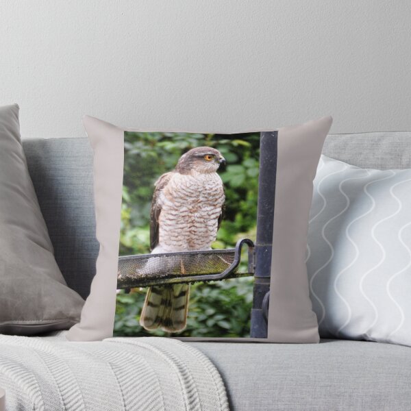 Item preview, "No Bird Feeder Doesn't Mean I Feed You Birds" designed and sold by lynn carter.