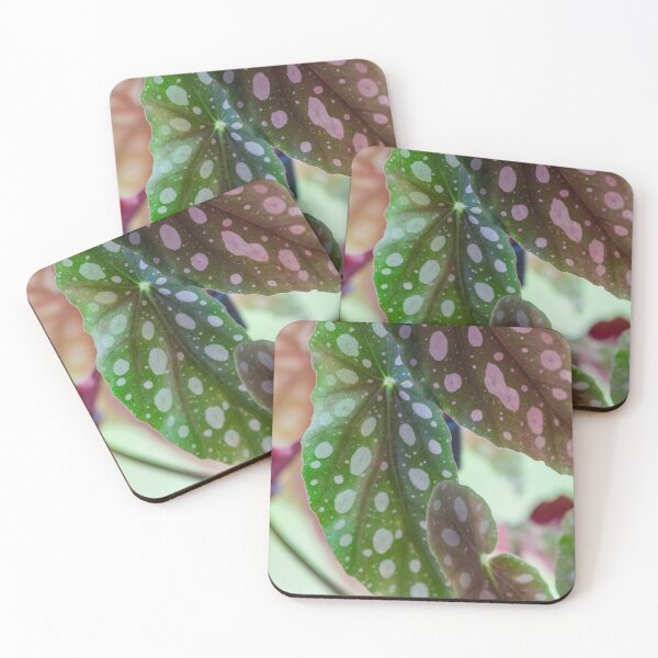Item preview, Begonia Maculata designed and sold by mhailittlearts.