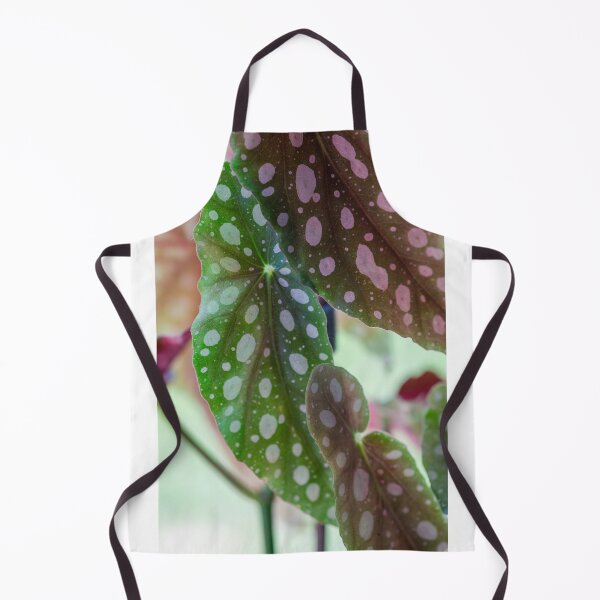 Item preview, Begonia Maculata designed and sold by mhailittlearts.