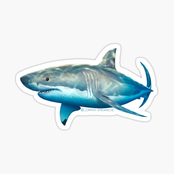 Shark at Fishing with Fishing rod - Angler - Sticker