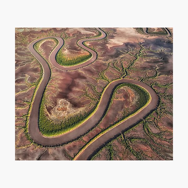 Item preview, Medusa - Flood Plain, Wyndham, Western Australia designed and sold by Kath Salier.