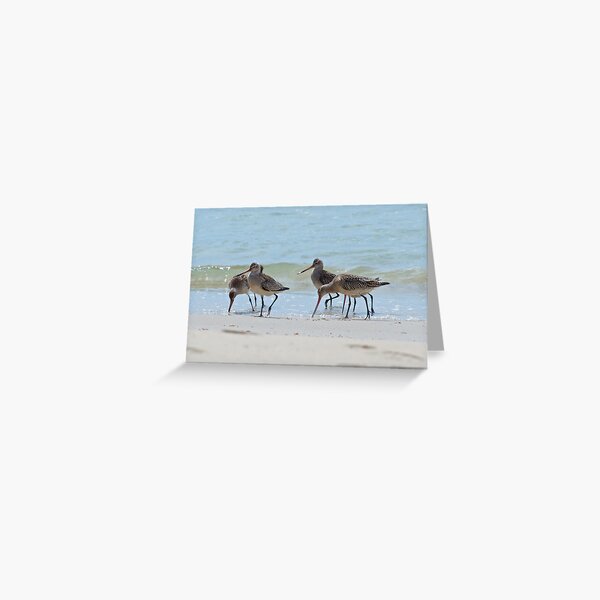 Item preview, SHOREBIRD ~ Bar-tailed Godwit XjyQyfak by David Irwin designed and sold by tasmanianartist.