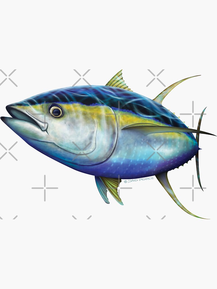 Yellowfin Tuna Sticker for Sale by David Pearce