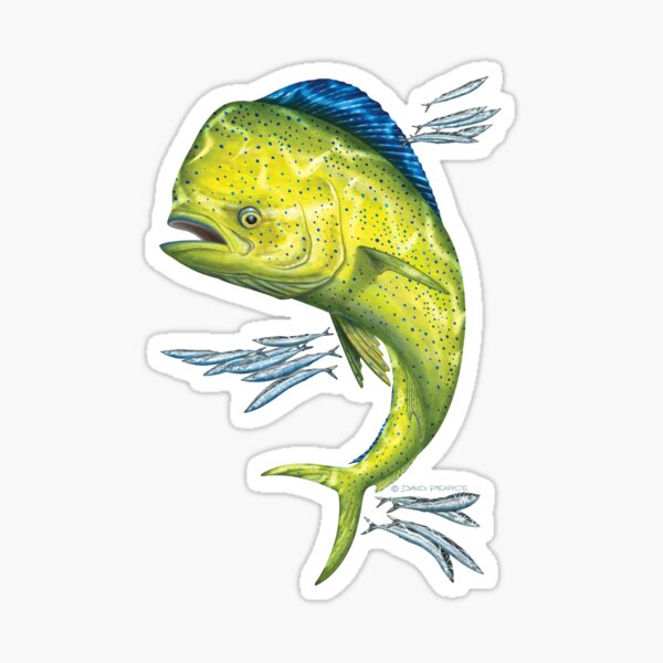 Mahi Mahi and baitfish Sticker