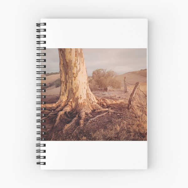 Item preview, South Australian Eucalypt designed and sold by Kath Salier.