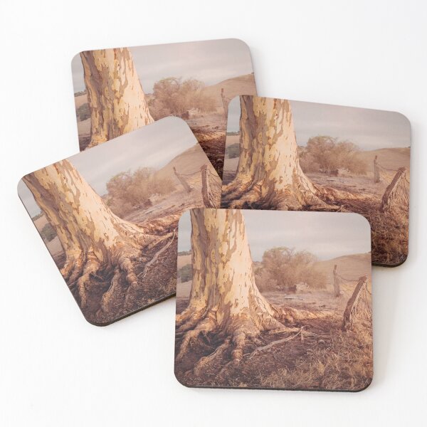 Item preview, South Australian Eucalypt designed and sold by Kath Salier.