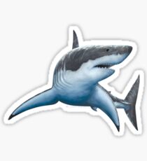 Great White Shark Sticker