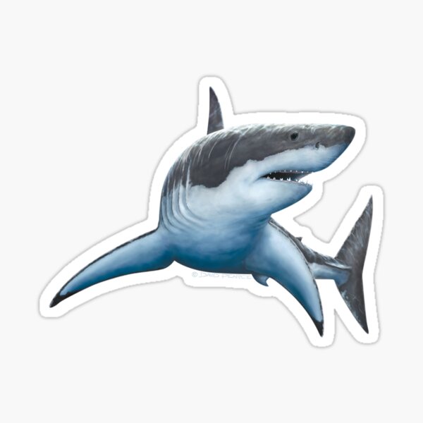 Great White Shark Sticker