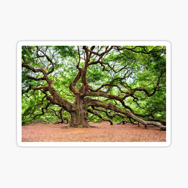 Item preview, Huge Oak Tree designed and sold by DiverseVisionsHarmony.