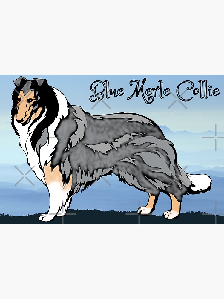 Fashion blue harvest collies