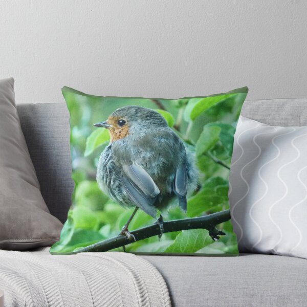 Item preview, Robin Redbreast designed and sold by lynn carter.
