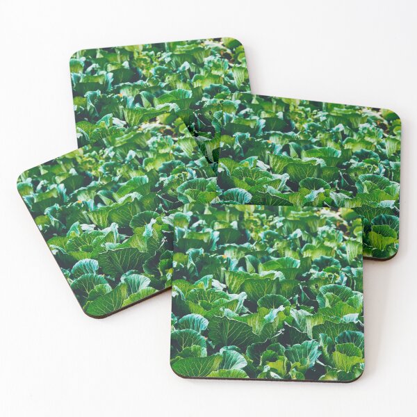 Item preview, Cabbage Plants designed and sold by kasthu.