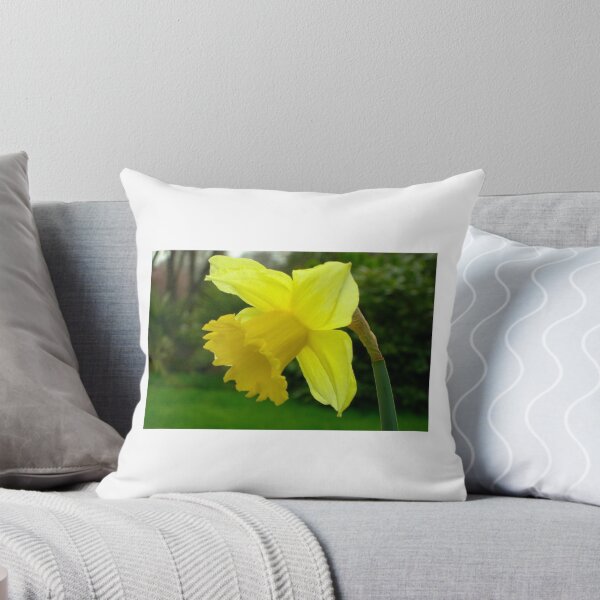 Item preview, Narciso designed and sold by Natrinicle.