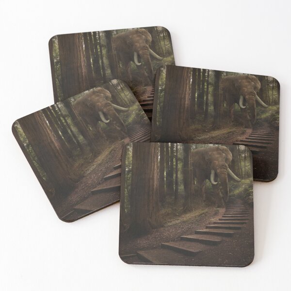 Item preview, Muir Woods, what you didn't see ... designed and sold by Kath Salier.