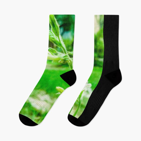 Item preview, green plant  designed and sold by Mercynite.