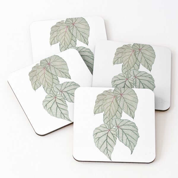 Item preview, Begonia designed and sold by artdeeanne.