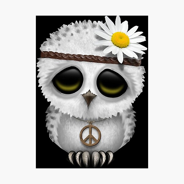 Cute Baby Snowy Owl Hippie  Photographic Print