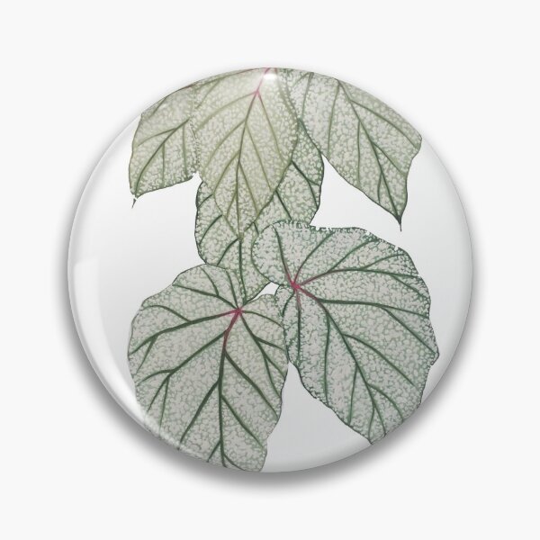 Item preview, Begonia designed and sold by artdeeanne.