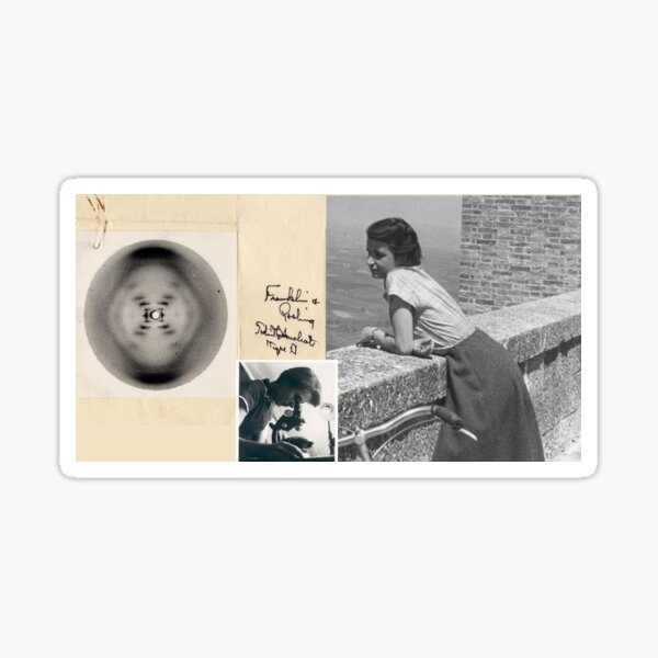 Item preview, Rosalind Franklin designed and sold by Parmjit-Flora.
