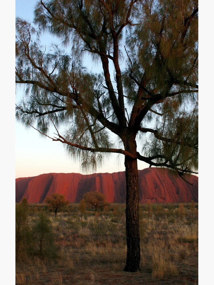 Uluru and the Tree by JohnDalkin