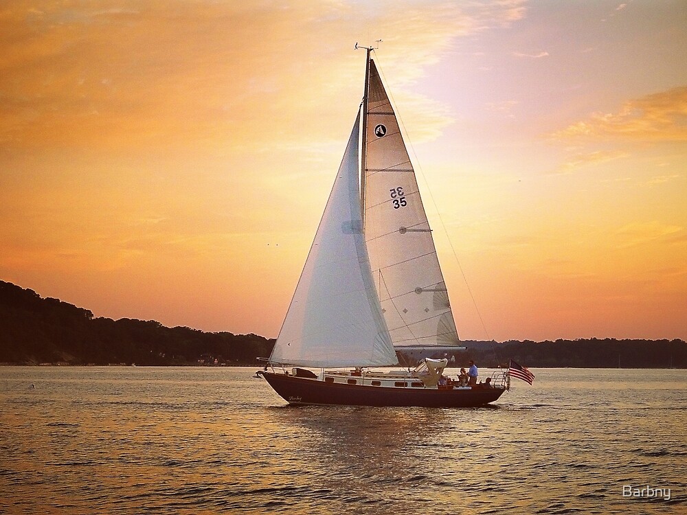 "You can’t change the direction of the wind, but you can adjust your