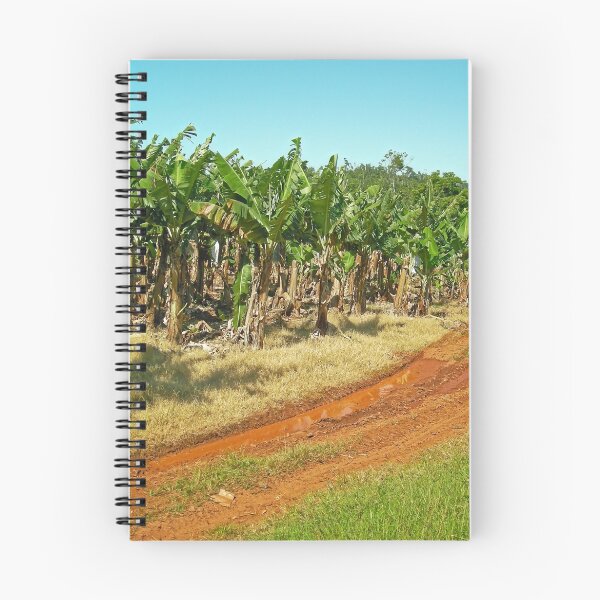 Item preview, Innisfail Banana Plantation designed and sold by V1mage.