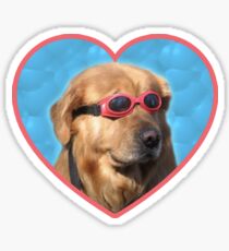Doggo Stickers: Swimmer Dog Sticker