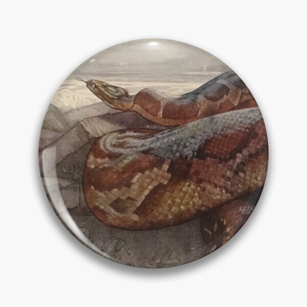 Item preview, Giant python illustration designed and sold by Vintage Designs +.