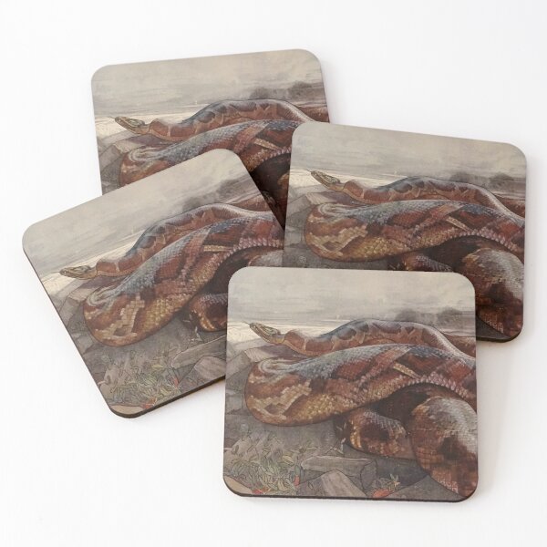Item preview, Giant python illustration designed and sold by Vintage Designs +.