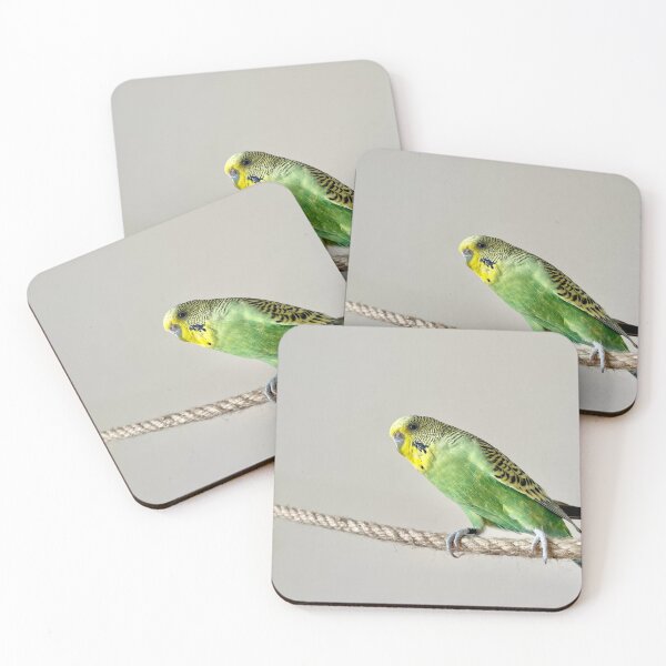 Item preview, Buddgie, parraket designed and sold by SonyBA.