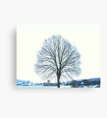 Highkey (cropped) Canvas Print