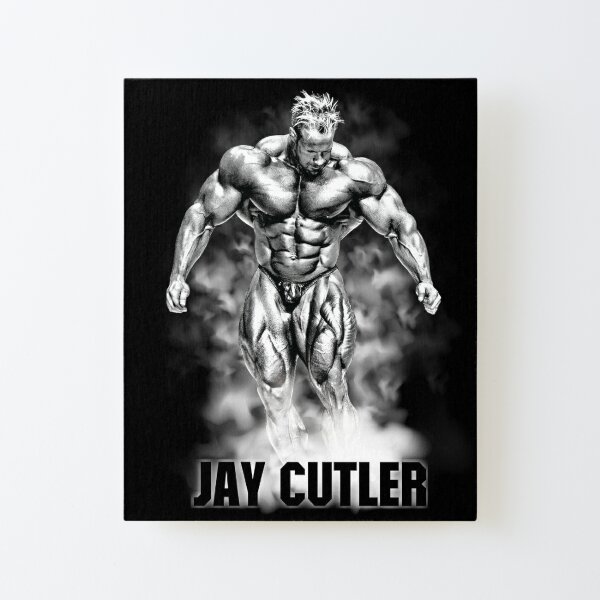 : Jay Cutler Cartoon T-Shirt (Medium, Red) : Clothing, Shoes &  Jewelry