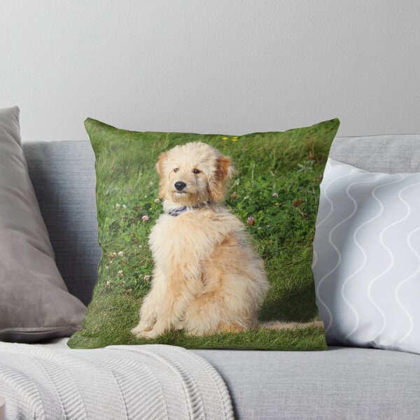 Item preview, Desconocido designed and sold by NickChase.
