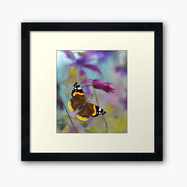 Red Admiral Butterfly Watercolor Painting Wildlife Artwork Framed Art Print
