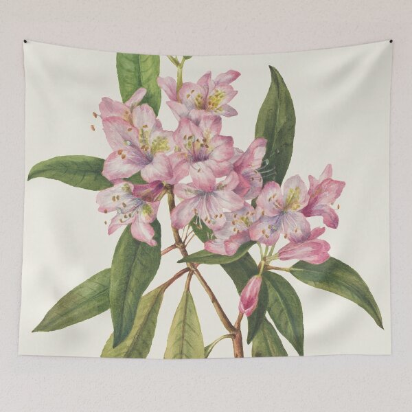 Item preview, Pink Rose Bay Flower Illustration designed and sold by JoyforU.