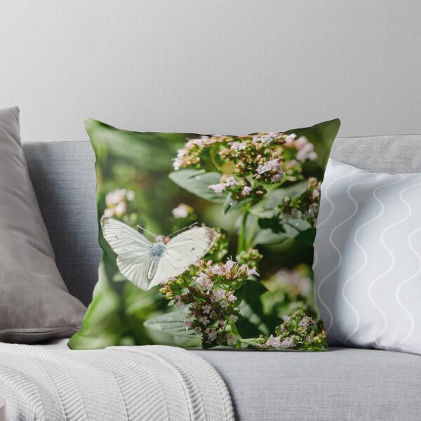 Item preview, Spread your wings and fly. Green-veined White designed and sold by Jouko Lehto Photography.