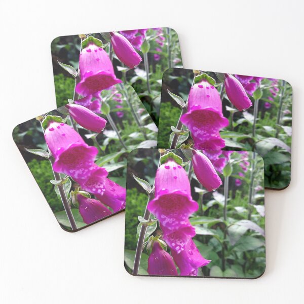Item preview, Foxgloves in The Peak District designed and sold by cpjmathieson.
