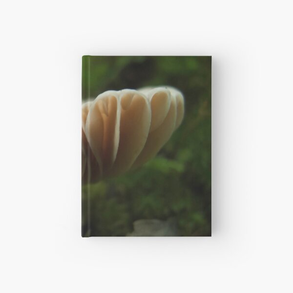 Underfoot Hardcover Journal