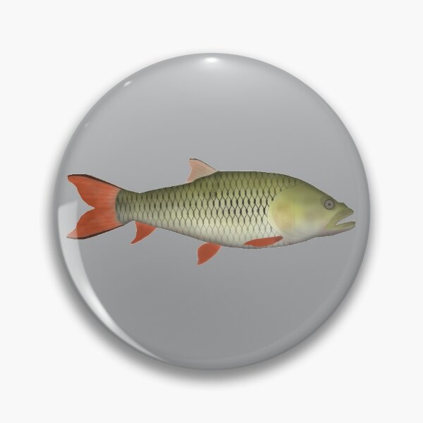Item preview, Hampala Barb designed and sold by fishfolkart.