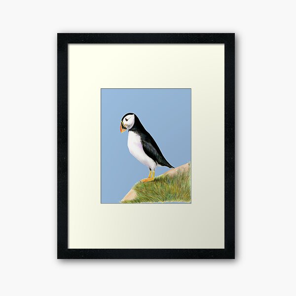 Puffin Bird Watercolor Painting Wildlife Artwork Framed Art Print