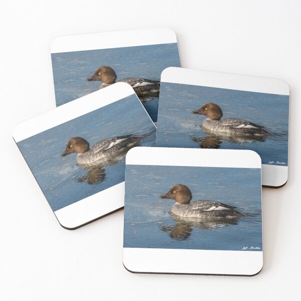 Item preview, Female Common Goldeneye Reflected in the Water designed and sold by Jeff Goulden Photography.