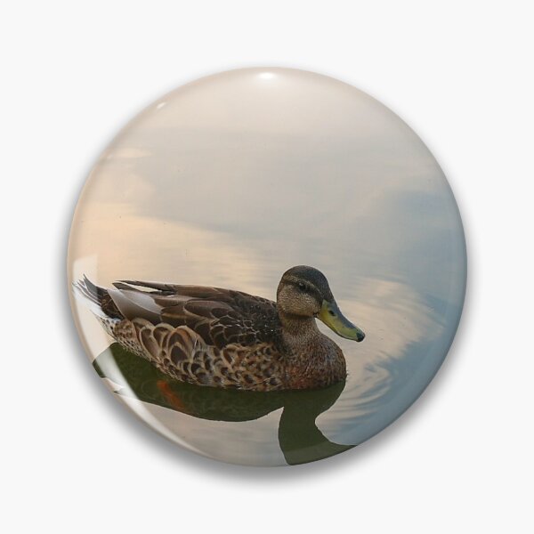 Item preview, Morning Stillness - Female Mallard Duck Swimming with Reflected Clouds designed and sold by Lyle Hatch.