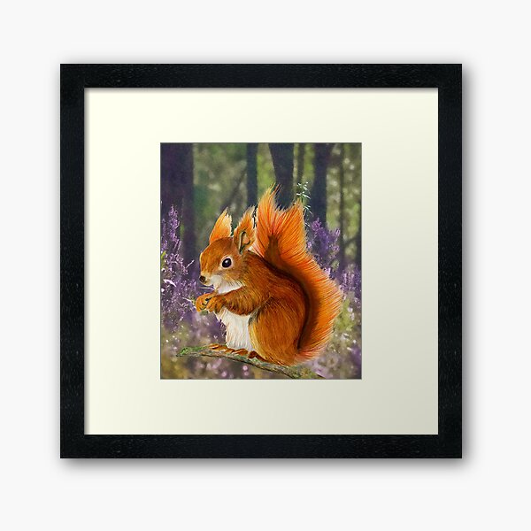 Red Squirrel Animal Watercolor Painting Wildlife Artwork Framed Art Print