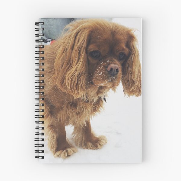 Item preview, Ruby Cavalier in Snow designed and sold by grygiel5.