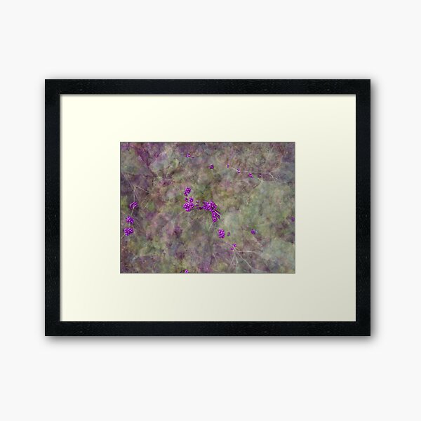 Florida Beautyberry Framed Art Print