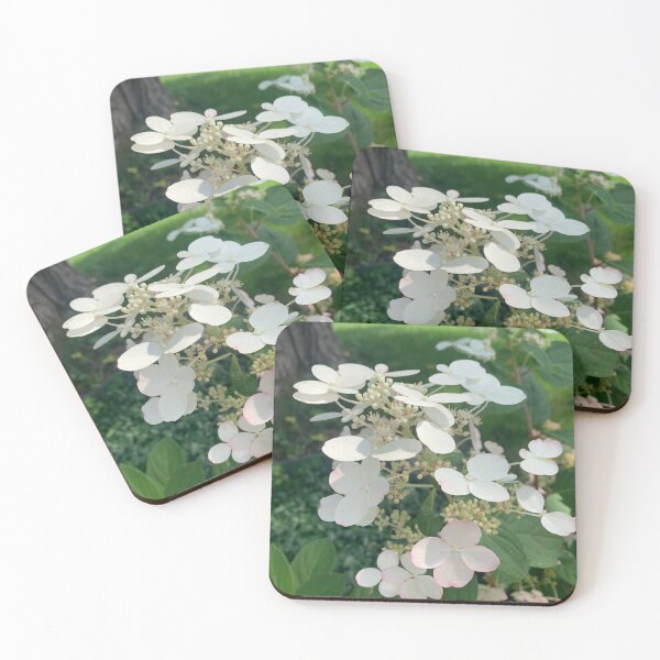 Item preview, White Hydrangea designed and sold by grygiel5.