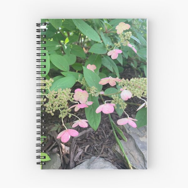 Item preview, Pink Hydrangea III designed and sold by grygiel5.