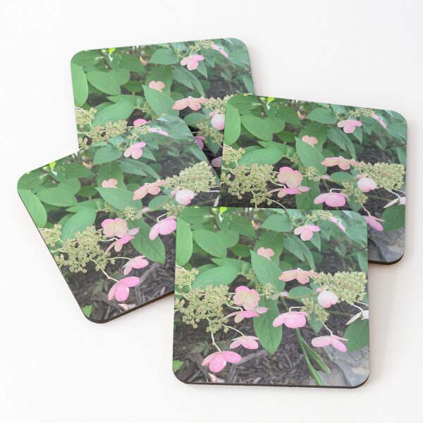 Item preview, Pink Hydrangea III designed and sold by grygiel5.